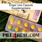 Ériger Une Capsule Supplémentaire new06